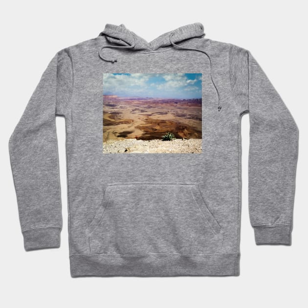 Israel, Mitzpe Ramon. Plant at Ramon Crater Hoodie by UltraQuirky